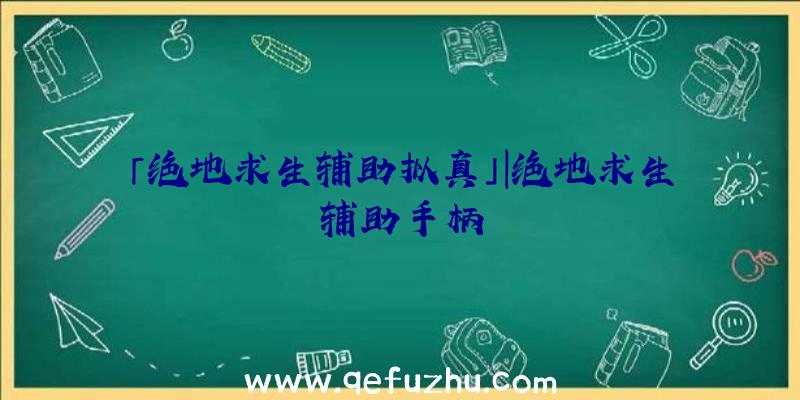 「绝地求生辅助拟真」|绝地求生辅助手柄